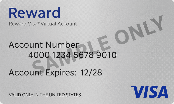 Prepaid Visa Reward Gift Card USD